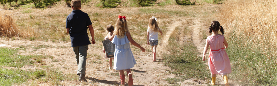 The Five Best Kids Activities in Hahndorf, Adelaide Hills