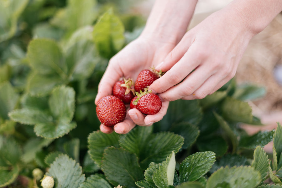 Why are strawberries linked with romance?